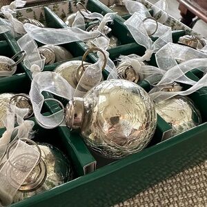Silver Glass Holiday Ornaments Set